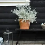 Find Peace In Present Environments