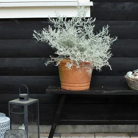 Find Peace In Present Environments