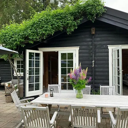 Find Peace In Present Environments