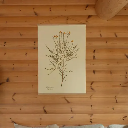 Find Peace In Present Environments Semesterbostad