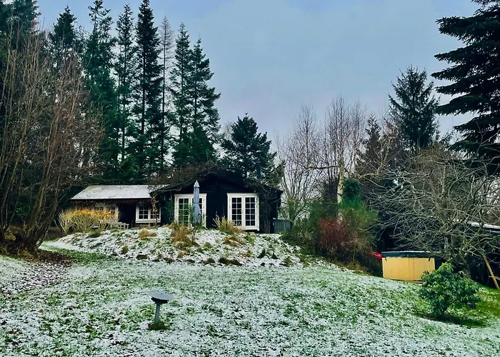 Find Peace In Present Environments *