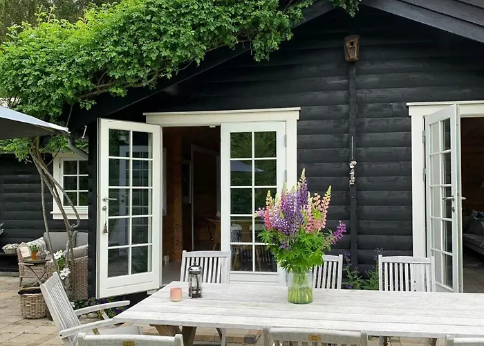 Find Peace In Present Environments